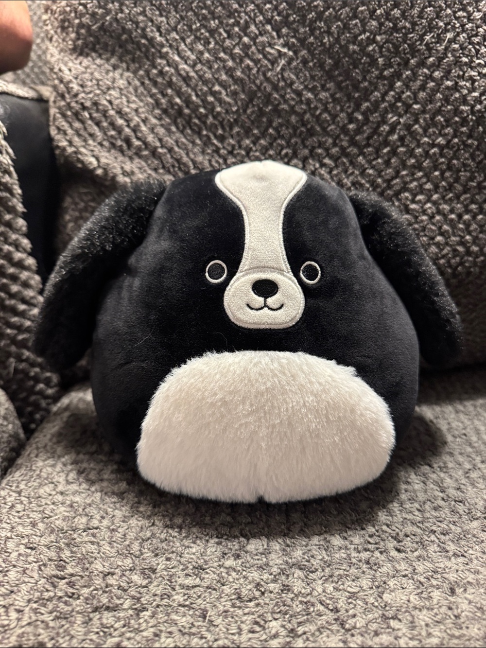 Squishmallows Black and White Puppy Plush